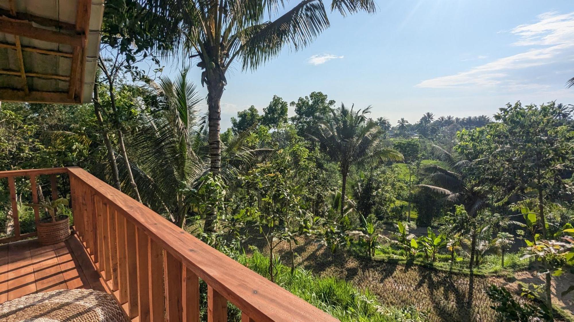 Villa Luna Tetebatu Extérieur photo