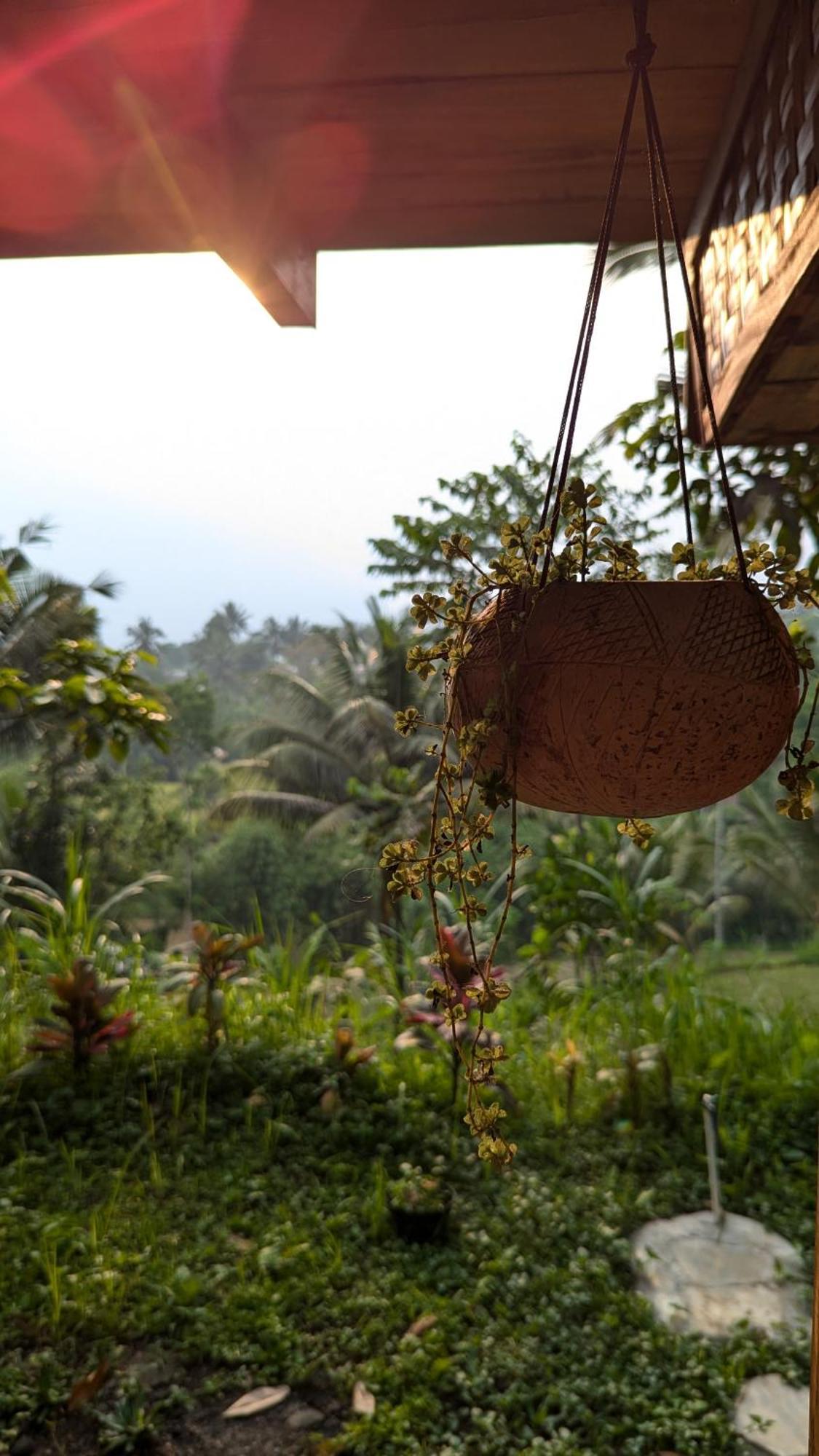 Villa Luna Tetebatu Extérieur photo