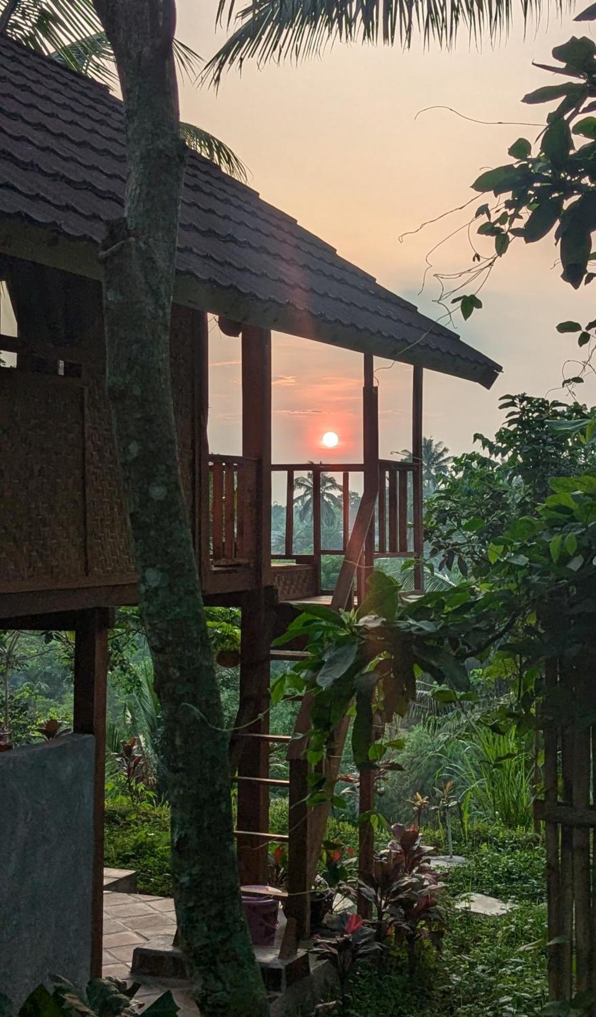 Villa Luna Tetebatu Extérieur photo